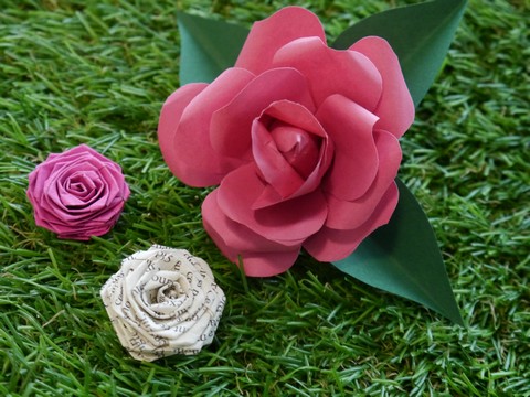 roses en papier bass def