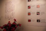Exposition-Exporose-2