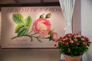 Exposition-Exporose-8