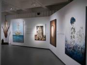 Exposition-Cuando-la-Naturaleza-se-impone-17