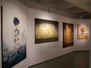 Exposition-Cuando-la-Naturaleza-se-impone-8