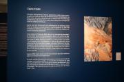 IMG4916bis
