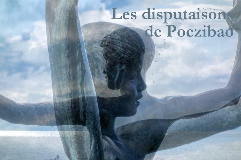les disputaison